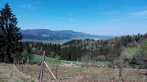 ikona Gírová