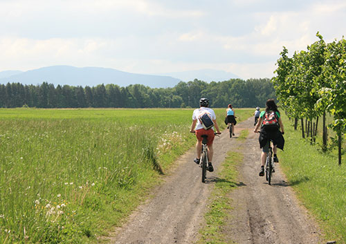 ikona Vojkovice